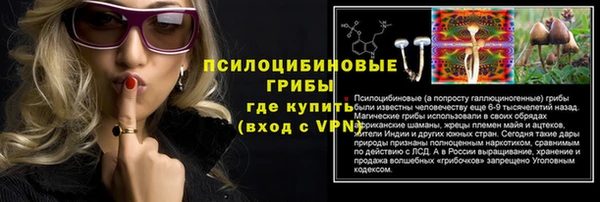 a pvp Абинск