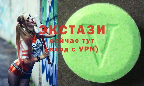 хмурый Алексин