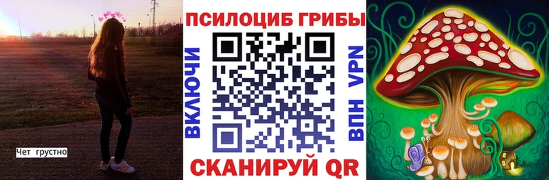 OMG зеркало  Нюрба  Псилоцибиновые грибы прущие грибы  магазин   